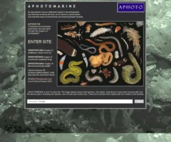 Aphotomarine.com(Part of the A) Screenshot