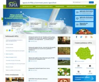 Apia.org.ro(Apia) Screenshot