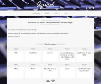 Apical.xyz(Apprendre, Participer, Interagir, Collaborer, Améliorer sa Logique) Screenshot