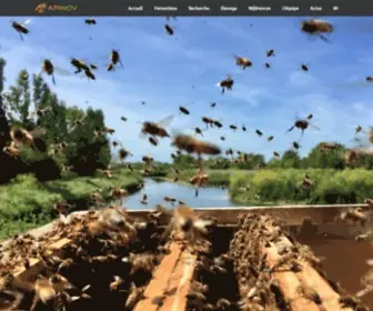Apinov.com(Centre de recherche & formations apicoles) Screenshot