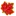 Apisbd.com Favicon