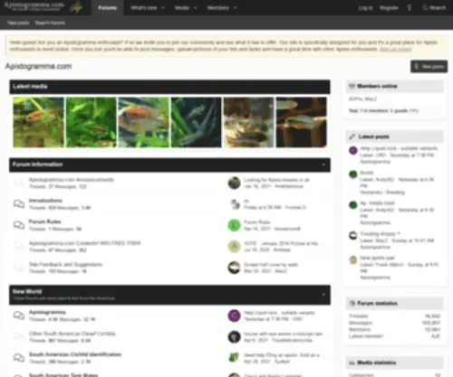 Apistogramma.com(Apistogramma) Screenshot