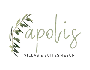 Apolisvillasparga.com Favicon