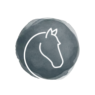 Apollon.info Logo