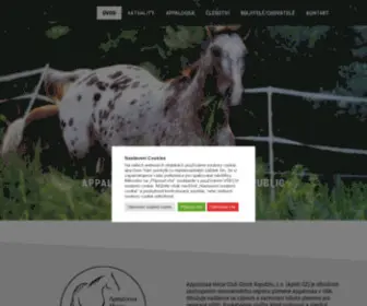 Appaloosa.cz(Appaloosa Horse Club Czech Republic) Screenshot