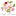 Appleblossoms.co.uk Favicon