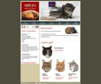 Applepie.it(Maine Coon di Apple Pie) Screenshot