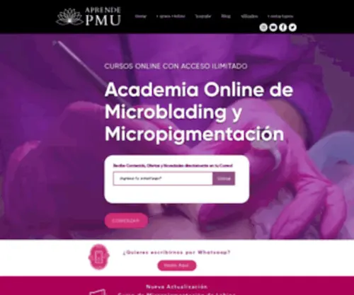 Aprendemicroblading.com(Academia Online) Screenshot