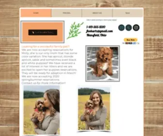 Apricotlanepuppy.com(Cavapoochon puppies lovingly raised in Ohio) Screenshot