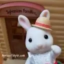 Apricotlapin.com Favicon