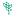 Apricotsoftware.ca Favicon