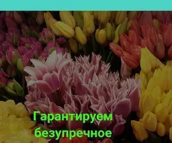 April21.ru(Срок) Screenshot