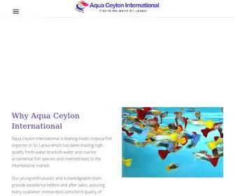 Aquaceylon.com(Aqua Ceylon International) Screenshot