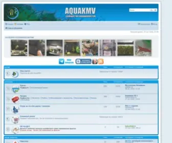 Aquakmv.com(аквариум) Screenshot