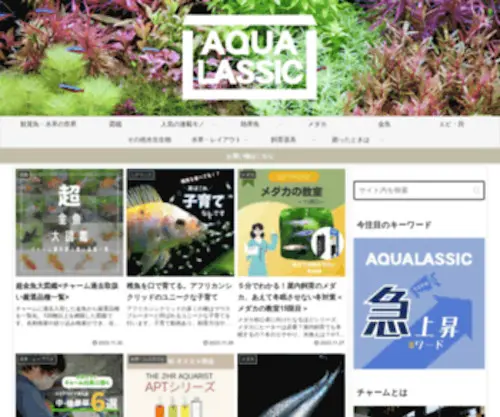 Aqualassic.com(Aqualassic) Screenshot