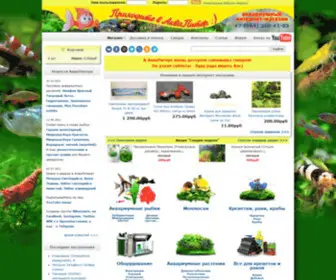 Aquapiter.com(Аквариумный интернет) Screenshot