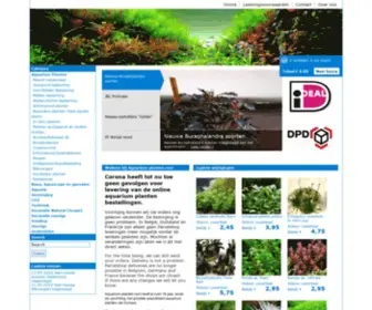 Aquarium-Planten.com(Welkom bij) Screenshot