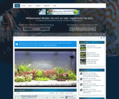 Aquarium-Stammtisch.de(Aquarium Stammtisch) Screenshot