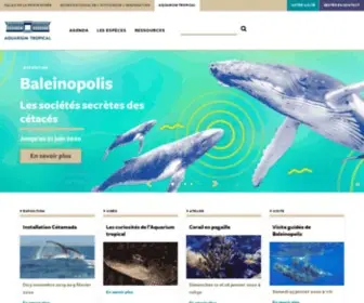 Aquarium-Tropical.fr(Aquarium tropical du Palais de la Porte dorée) Screenshot