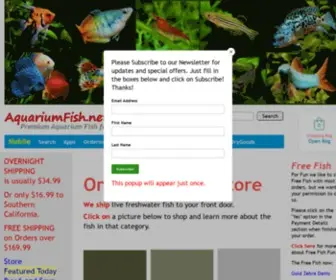 Aquariumfish.net(Aquarium Fish for Sale at AquariumFish.net) Screenshot