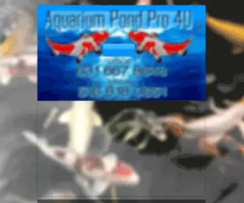 Aquariumpondpro4U.com(Aquariumpro4u/ponds/maintenance/long island) Screenshot
