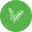 Aquascapingforlife.de Favicon