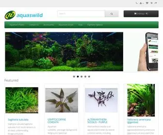 Aquaswild.com(Buy aquarium plants online) Screenshot