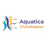 Aquaticachicoloapan.com.mx Favicon