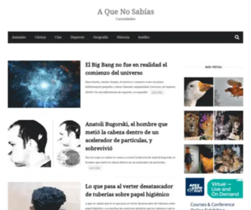 Aquenosabias.net(Curiosidades) Screenshot