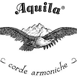 Aquilastringschina.com Logo
