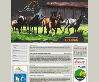 Arabian.org.pl(Stowarzyszenie Miłośników Koni) Screenshot