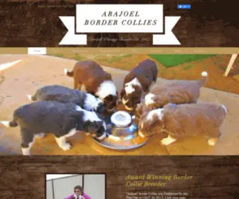 Arajoelbordercollies.com.au(Arajoel Border Collies) Screenshot