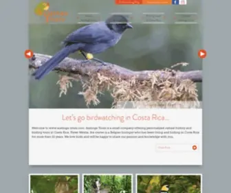 Aratinga-Tours.com(Aratinga Tours) Screenshot