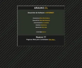 Arauko.cl(Asesorías informaticas) Screenshot