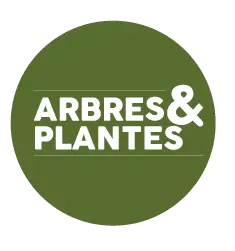 Arbresetplantes.fr Logo