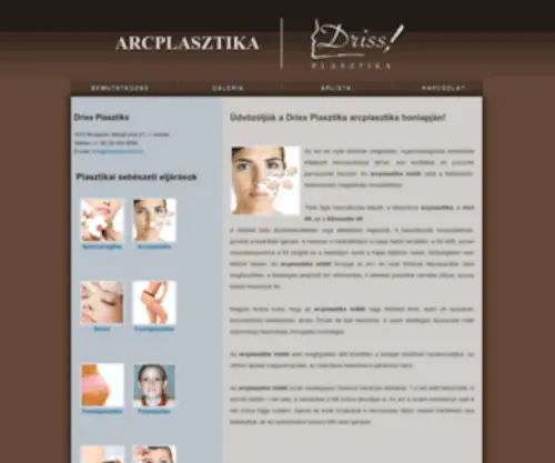 ArcPlasztika.com(Driss Plasztika) Screenshot