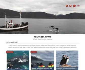 Arcticseatours.is(Arctic Sea Tours) Screenshot