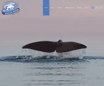 Arcticwhaletours.com(Unforgettable whale watching tours) Screenshot