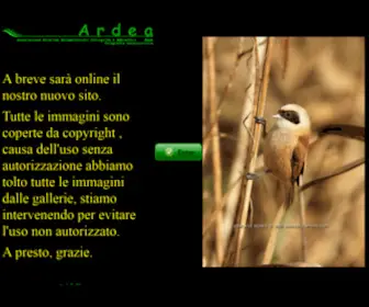 Ardea.org(Associazione Ricerche Documentazioni Etologiche e Ambientali) Screenshot