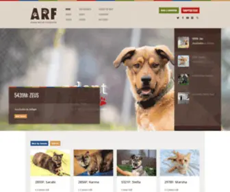 ARF.ab.ca(Animal Rescue Foundation (ARF)) Screenshot