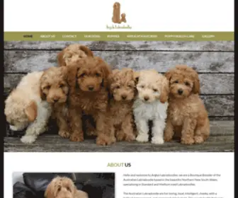 Argylelabradoodles.com.au(Argyle Labradoodles) Screenshot