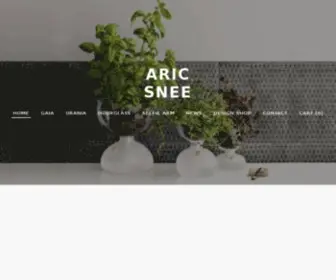 Aricsnee.com(Aric Snee) Screenshot