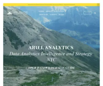 Arielanalytics.com(Data Analytics Intelligence and Strategy NYC) Screenshot