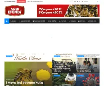 Arisatisi.com(WordPress) Screenshot