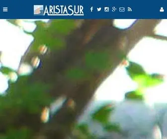 Aristasur.com(Viviendo la monta) Screenshot