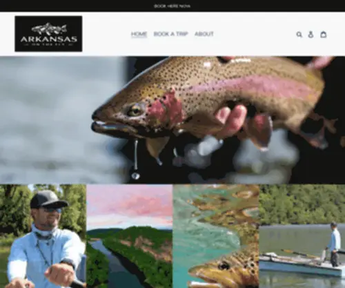 Arkansasonthefly.com(Arkansas On The Fly) Screenshot