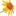 Arnikabolt.ro Favicon