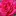 Aromaorchard.com Favicon