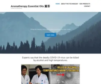 Aromatherapy-Essential-Oils.com(19 Prevention)) Screenshot