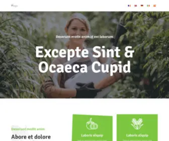 Arrabal-Infoservices.com(Arrabal) Screenshot